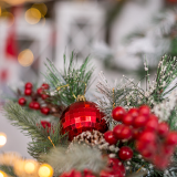 Předvánoční výprodej pro zahradu